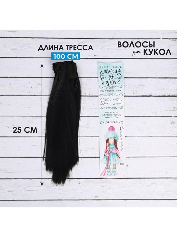 Волосы - тресс для кукол «Прямые» длина волос: 25 см, ширина:100 см, цвет № 1В