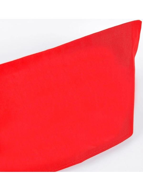 Набор пионера «Не соблазняйте пионера», пилотка, вымпел, галстук