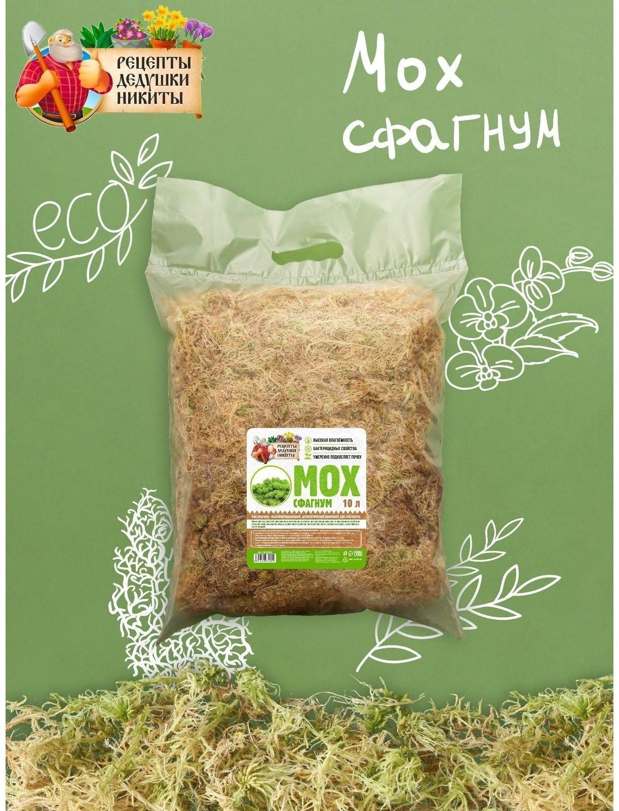 Мох сфагнум 