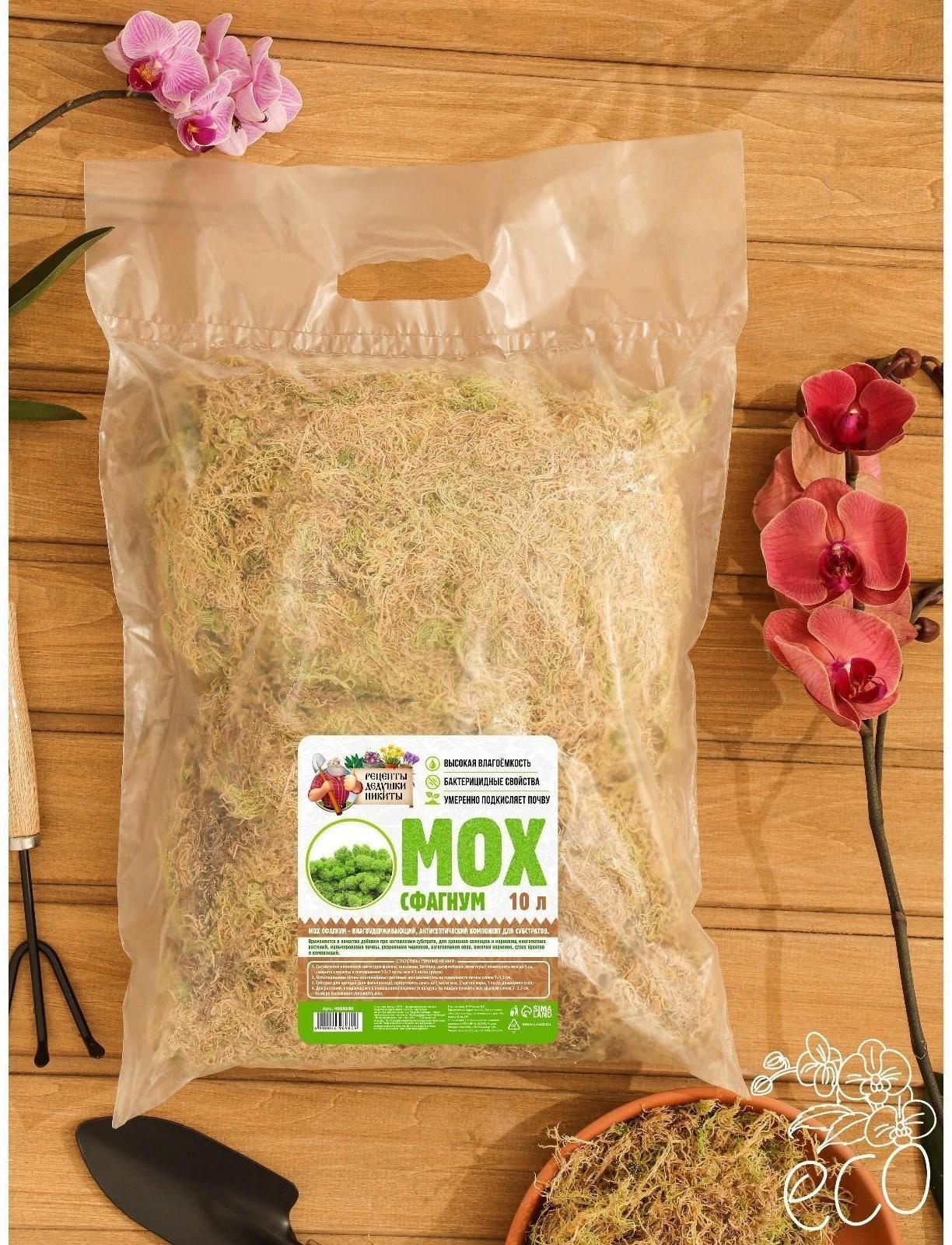 Мох сфагнум 