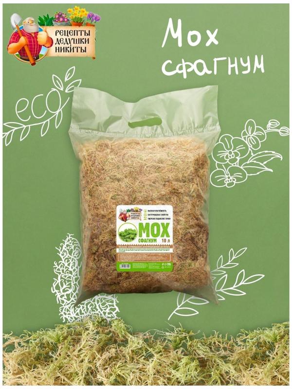 Мох сфагнум 