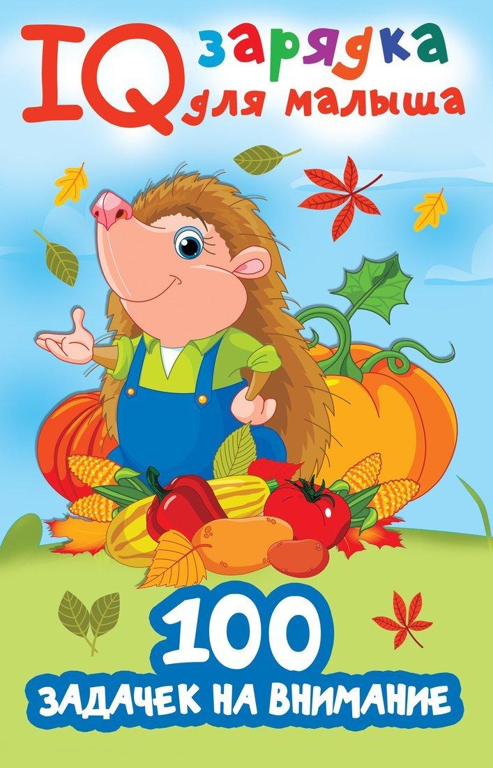 Книжка 100 задачек на внимание
