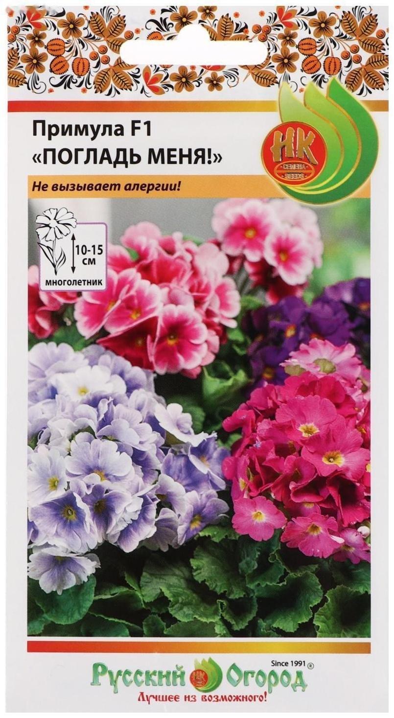 Семена цветов Примула 