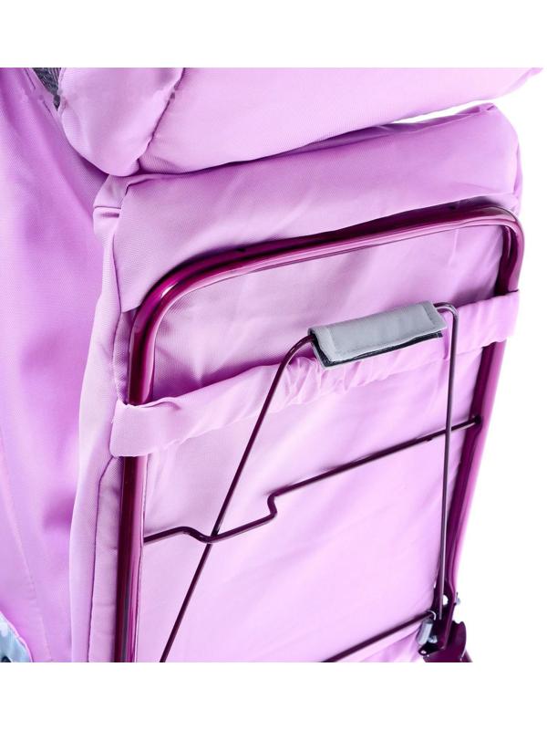 Санки-коляска «Наши детки 5-2», цвет лилия