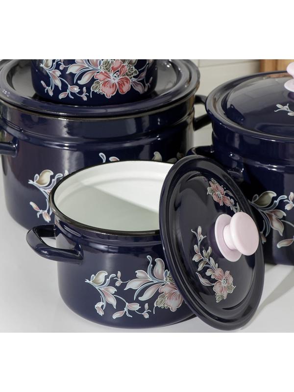 Набор кастрюль «Алиса», 4 предмета: 2 л, 3 л, 6 л, 8 л, эмалированные крышки, индукция, цвет синий