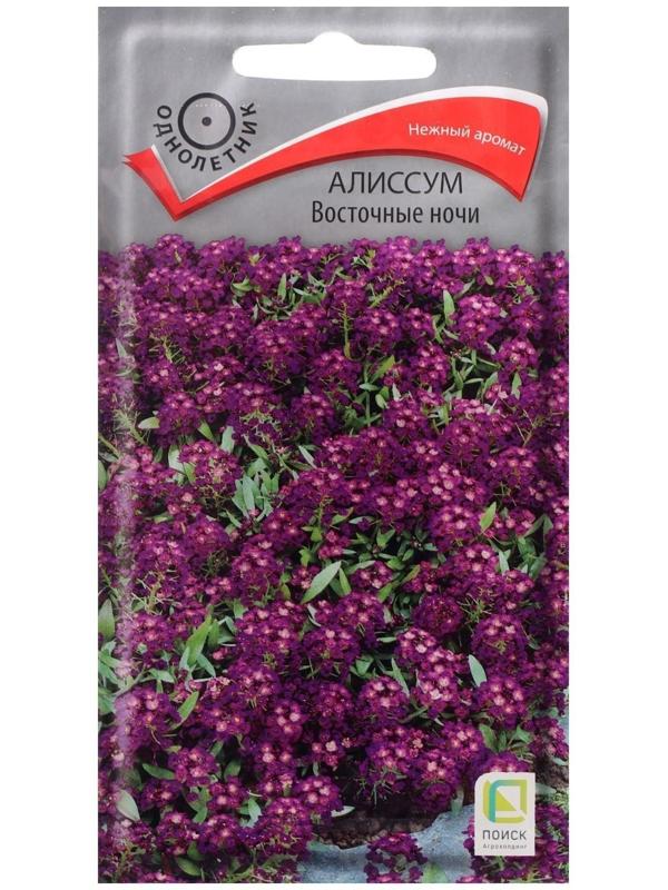 Семена цветов Алиссум 