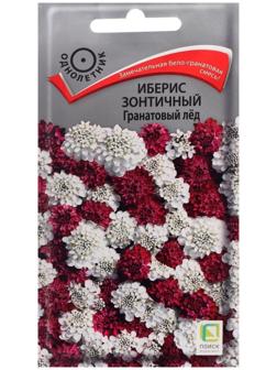 Семена цветов Иберис зонтичный 