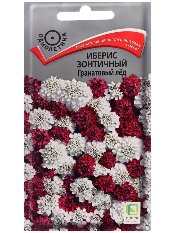 Семена цветов Иберис зонтичный 