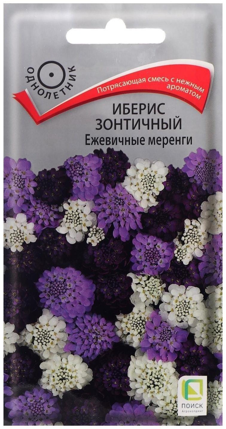 Семена цветов Иберис зонтичный 