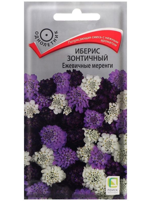 Семена цветов Иберис зонтичный 