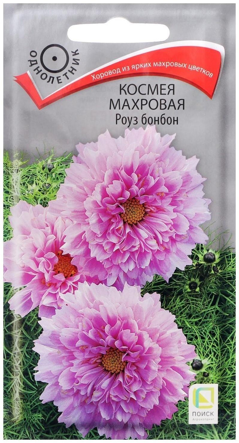 Семена цветов Космея махровая 