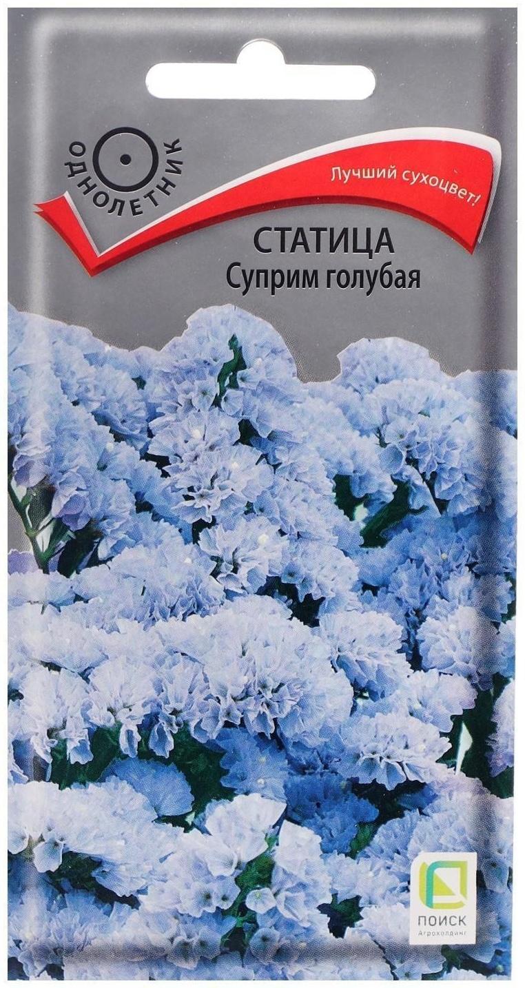 Семена цветов Статица 