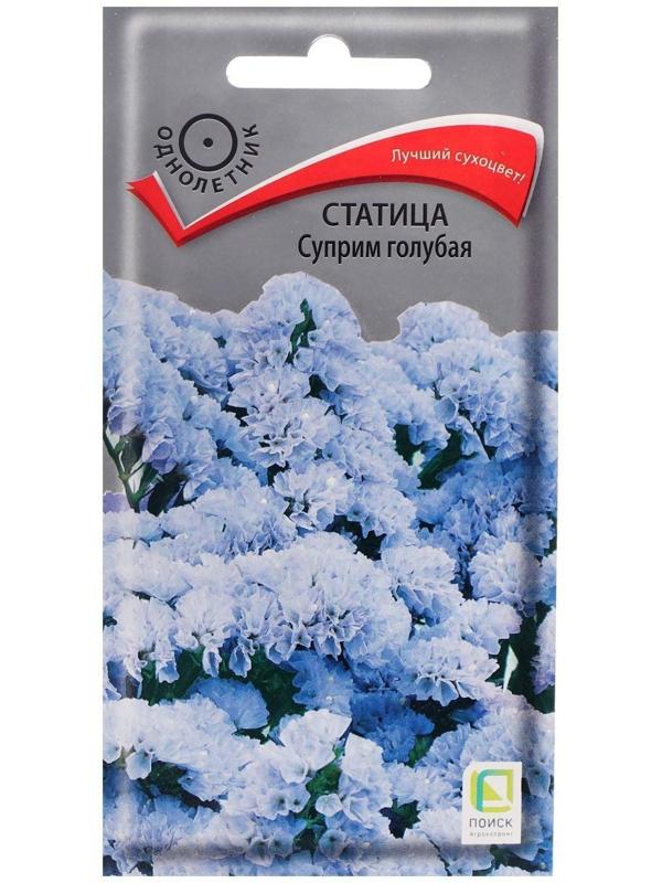 Семена цветов Статица 