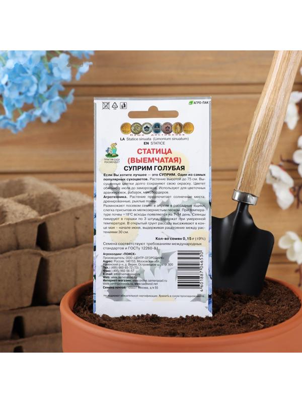 Семена цветов Статица 