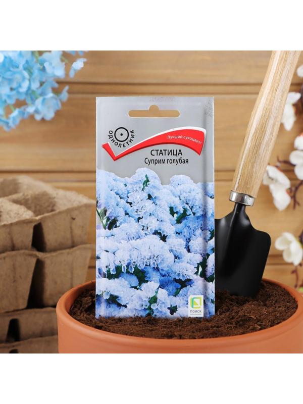 Семена цветов Статица 