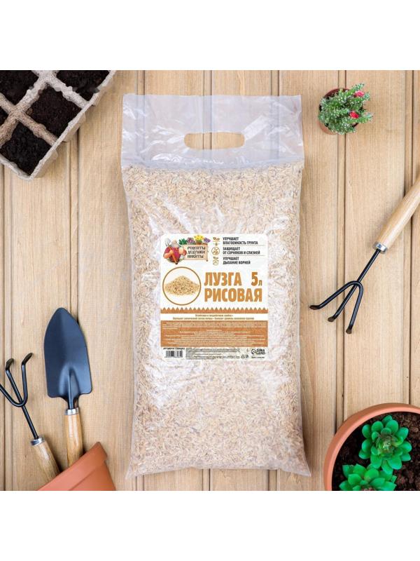 Лузга рисовая 