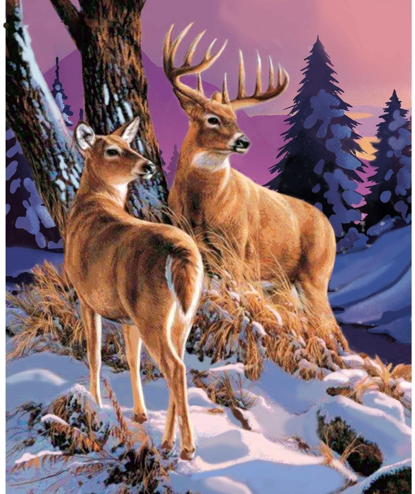 Картина по номерам на холсте с подрамником «Олени в лесу» 40х50 см