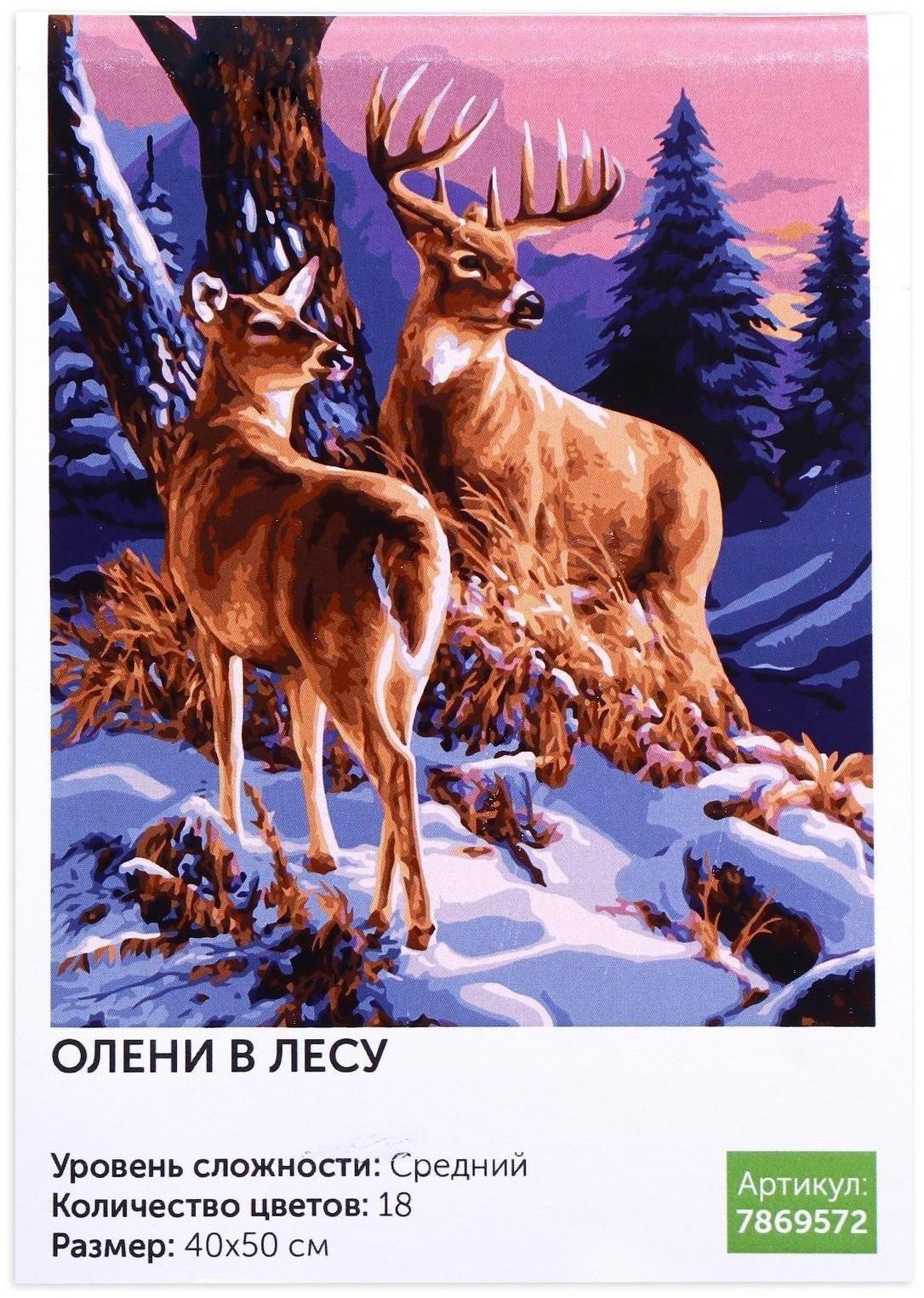 Картина по номерам на холсте с подрамником «Олени в лесу» 40х50 см