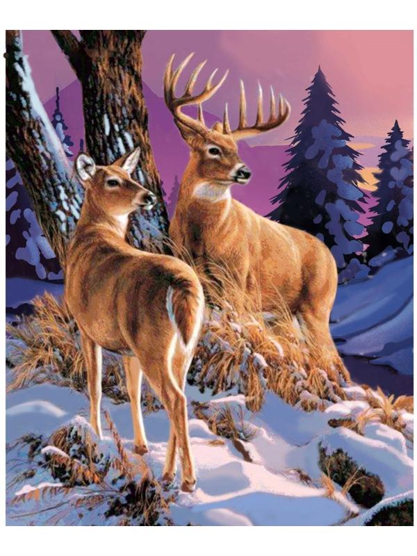 Картина по номерам на холсте с подрамником «Олени в лесу» 40х50 см