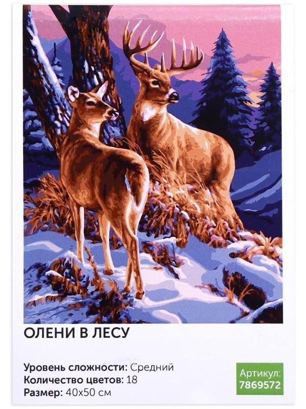 Картина по номерам на холсте с подрамником «Олени в лесу» 40х50 см