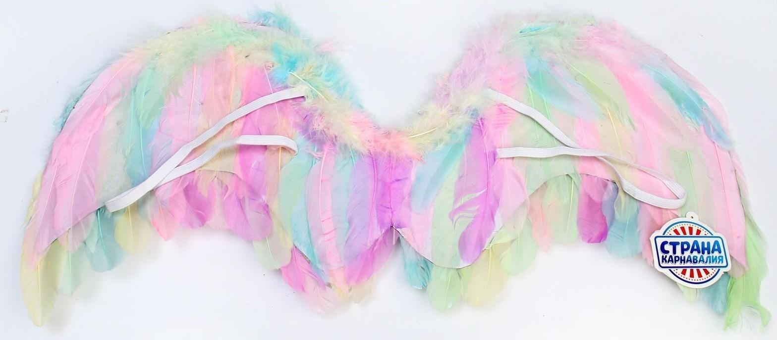Крылья ангела 77×55 см