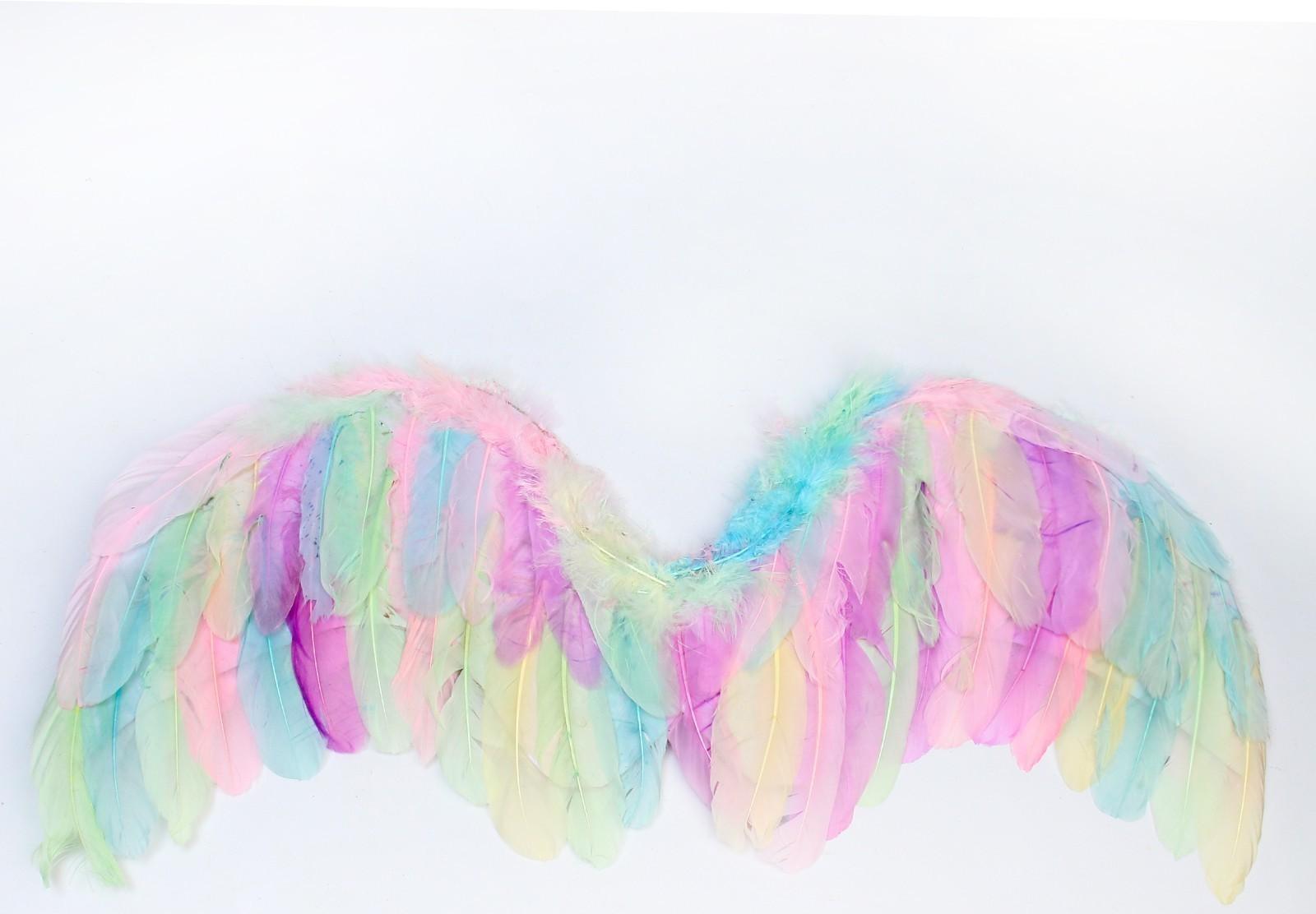 Крылья ангела 77×55 см