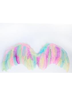 Крылья ангела 77×55 см