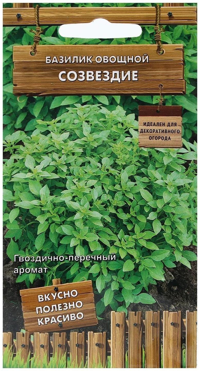 Семена Базилик 