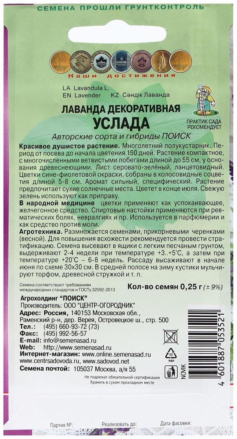 Семена Лаванда декоративная 