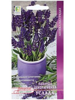 Семена Лаванда декоративная 