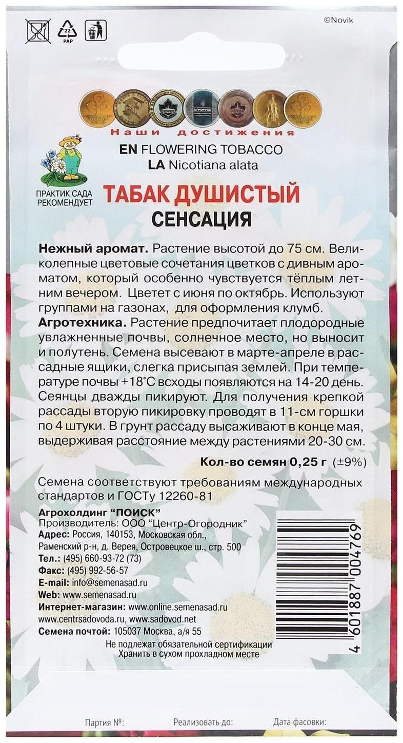 Семена цветов Табак Душистый 