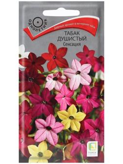 Семена цветов Табак Душистый 