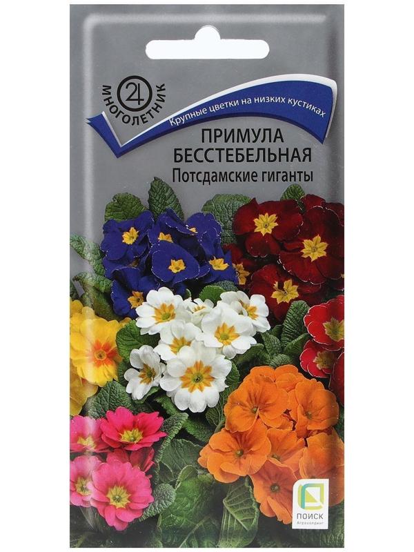 Семена цветов Примула бесстебельная 