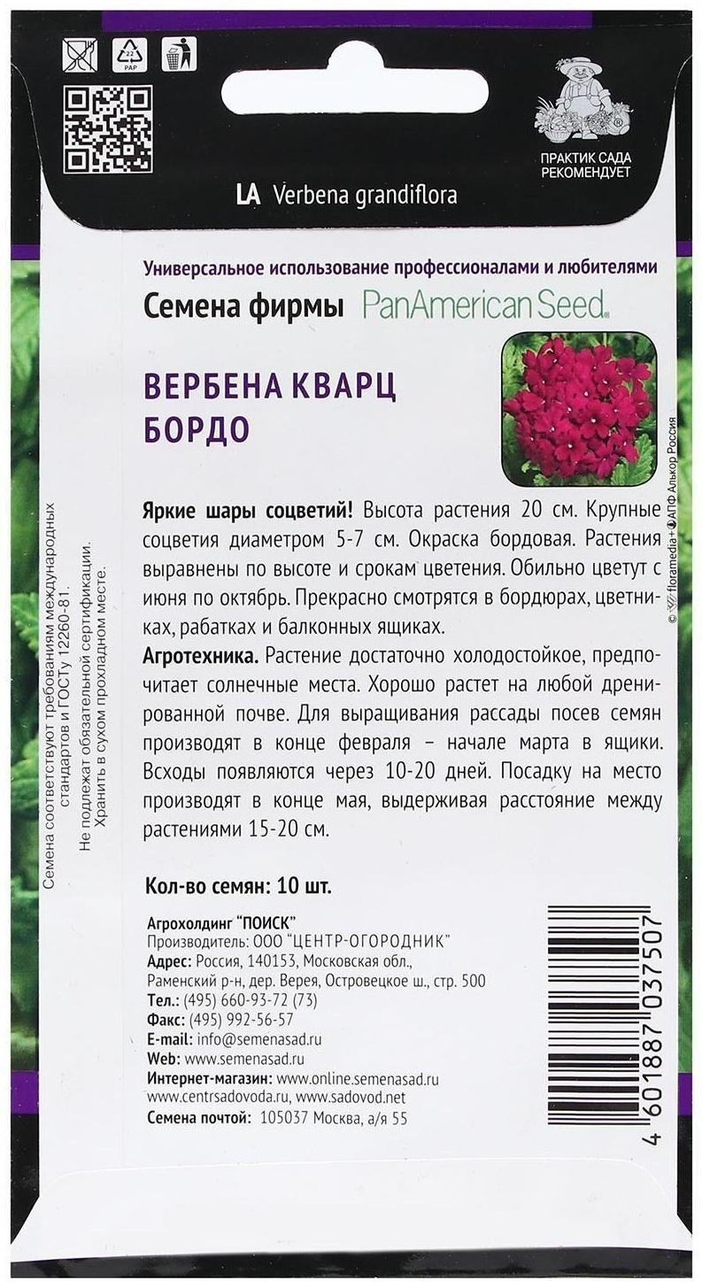 Семена цветов Вербена 