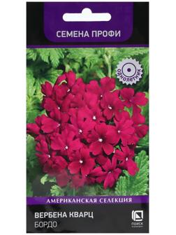 Семена цветов Вербена 