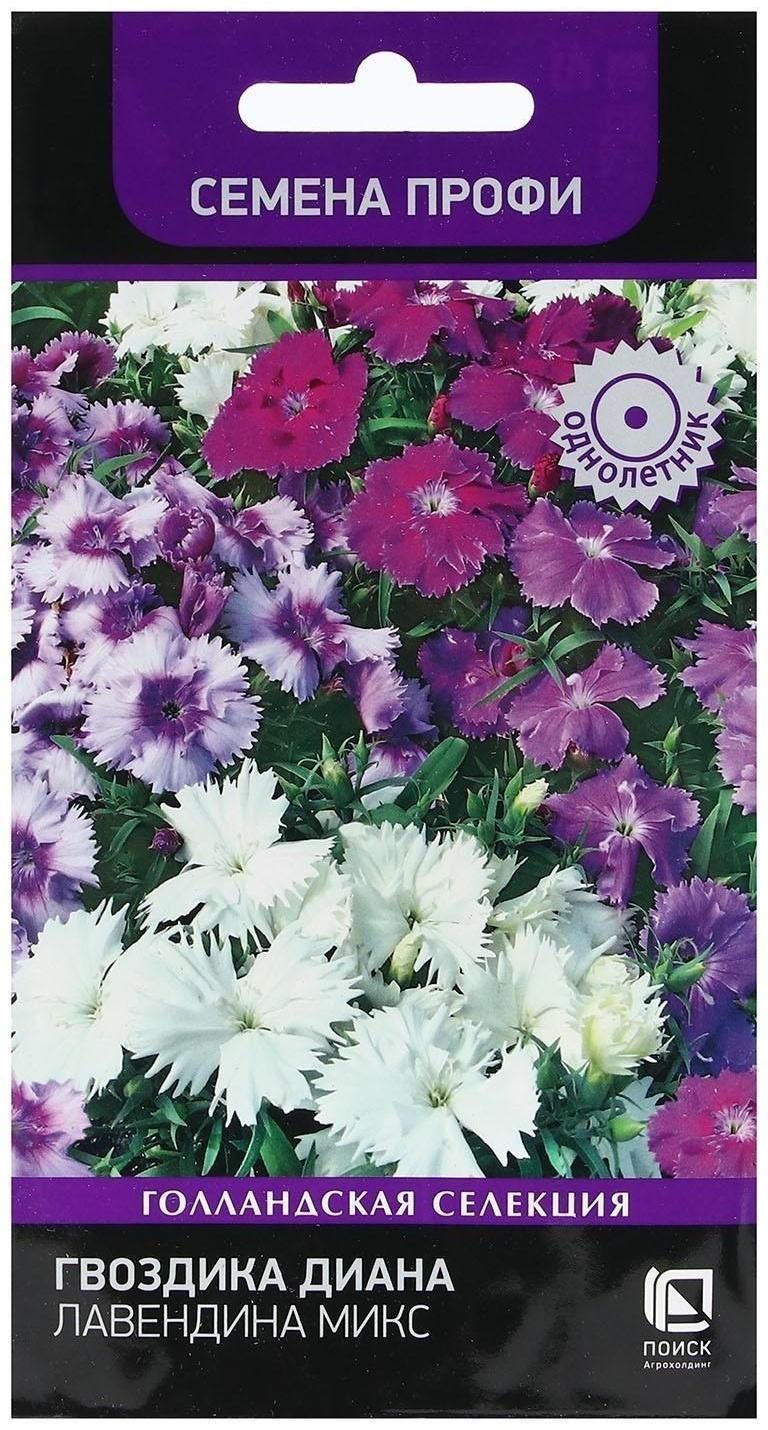 Семена цветов Гвоздика 