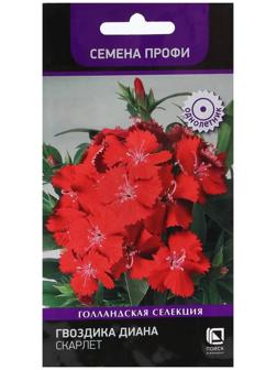 Семена цветов Гвоздика 