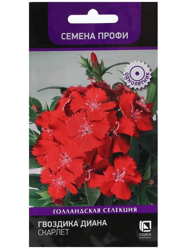 Семена цветов Гвоздика 