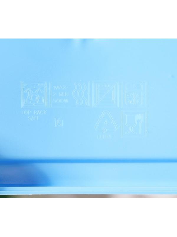 Контейнер Snow Box с крышкой, 1200 мл, цвет голубой