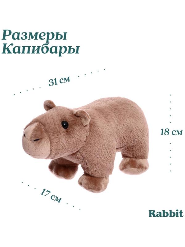 Мягкая игрушка «Капибара», 31 см