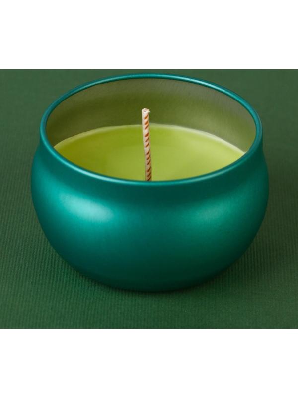 Новогодняя свеча в банке «Зима - время уюта», яблоко, высота 4 см