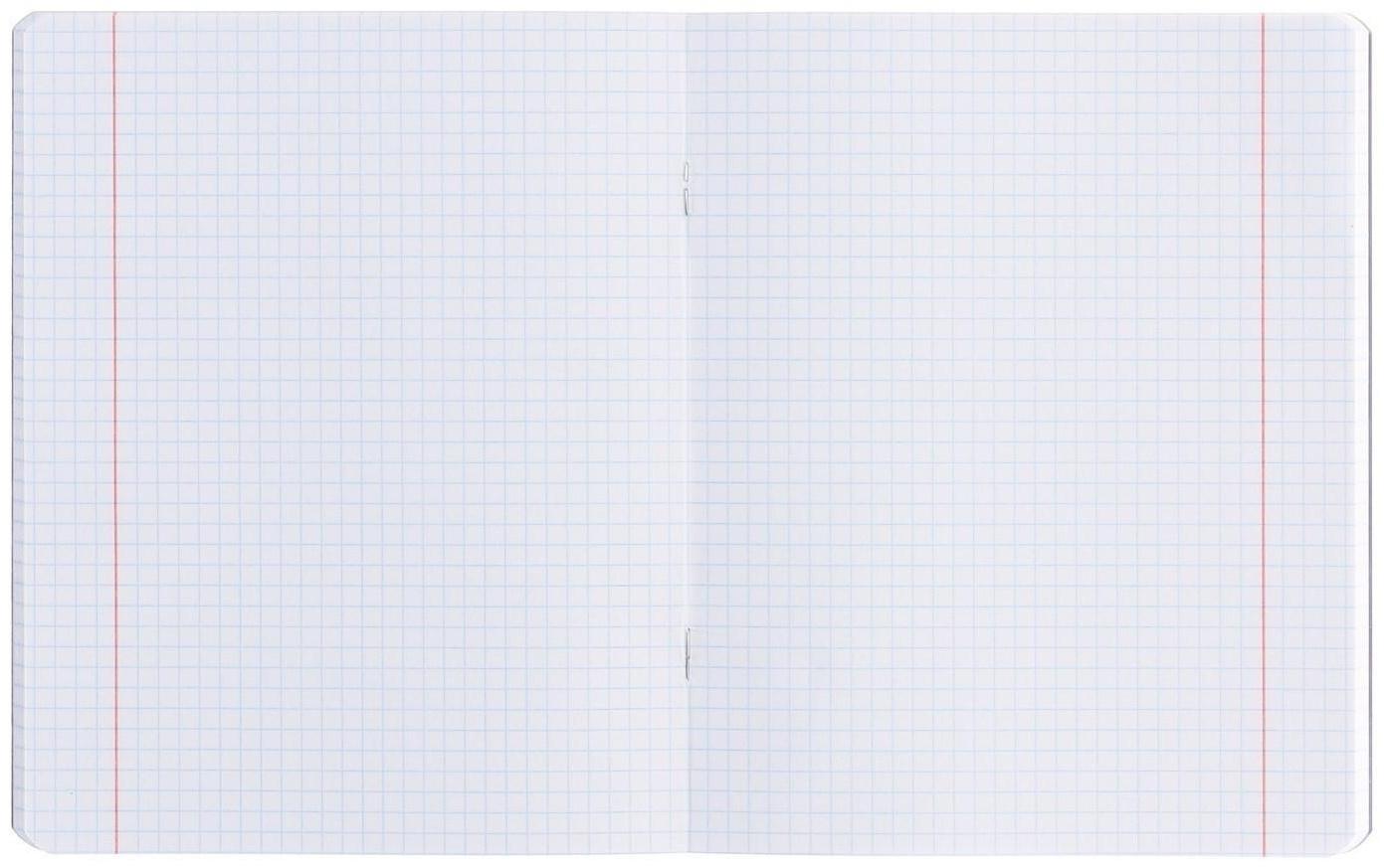 Тетрадь 48 листов в клетку MESHU Kawaii, обложка мелованный картон, матовая ламинация, выборочный УФ-лак, блок офсет, МИКС