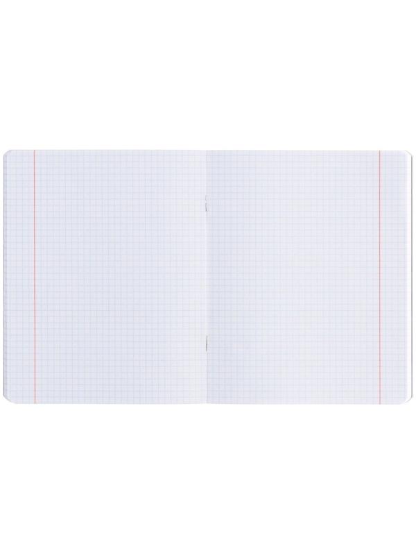 Тетрадь 48 листов в клетку MESHU Kawaii, обложка мелованный картон, матовая ламинация, выборочный УФ-лак, блок офсет, МИКС