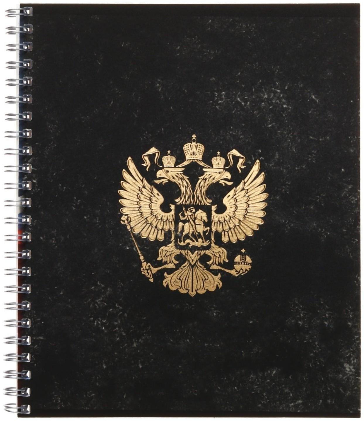 Тетрадь 48 листов в клетку Calligrata на гребне 