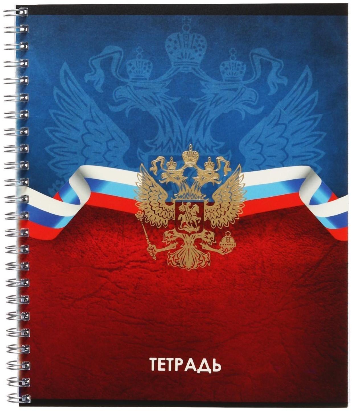 Тетрадь 48 листов в клетку Calligrata на гребне 