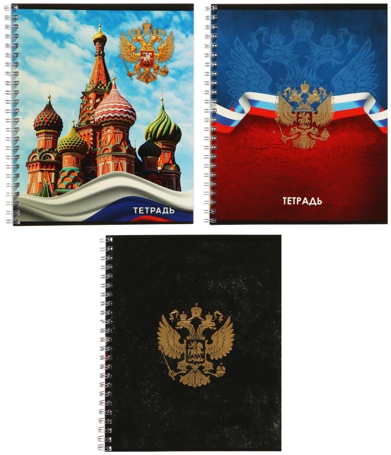 Тетрадь 48 листов в клетку Calligrata на гребне 