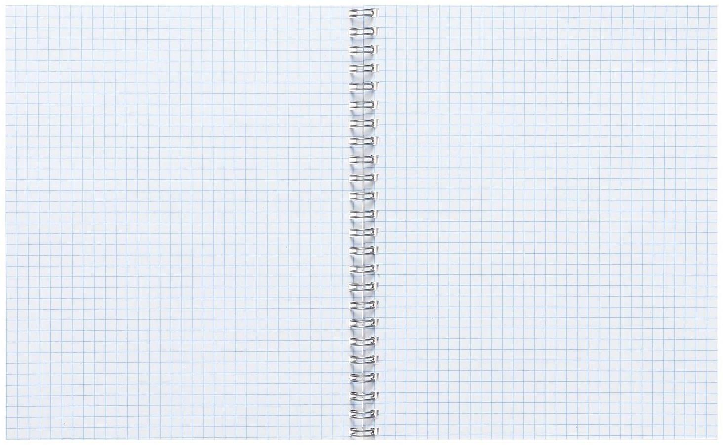 Тетрадь 48 листов в клетку Calligrata на гребне 