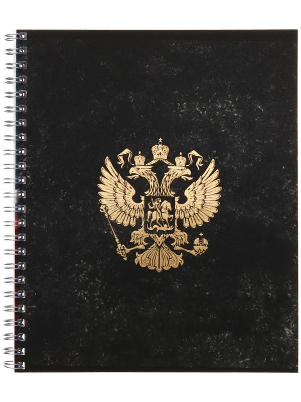 Тетрадь 48 листов в клетку Calligrata на гребне 