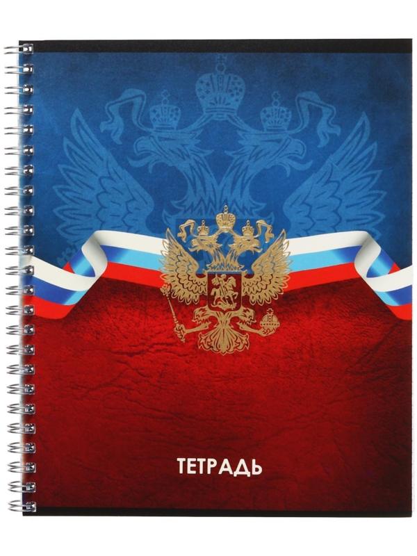 Тетрадь 48 листов в клетку Calligrata на гребне 