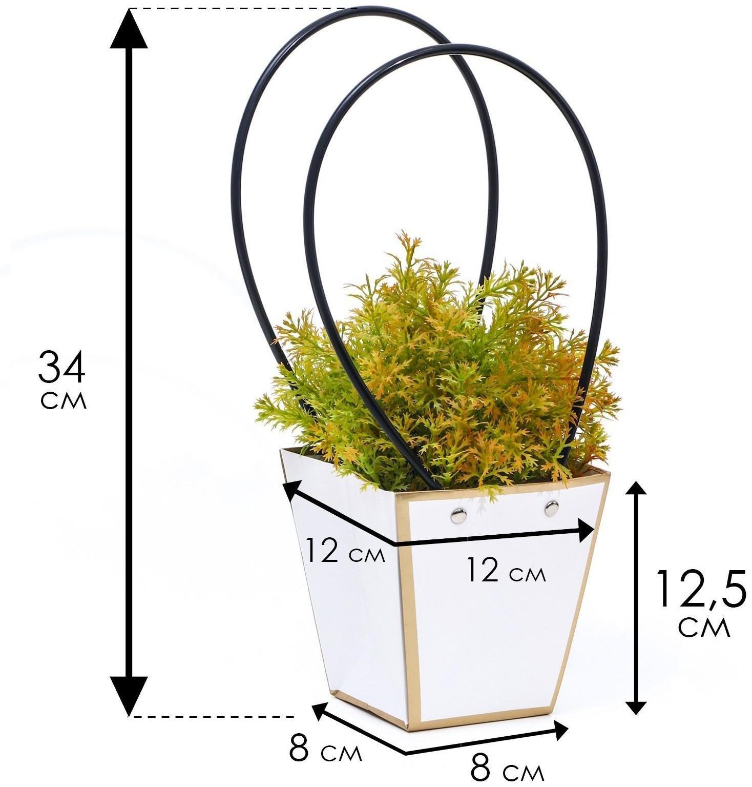 Сумка для цветов «Белая», с тиснением, влагостойкая, 12 x 12 - 8 x 8 - 12,5 см